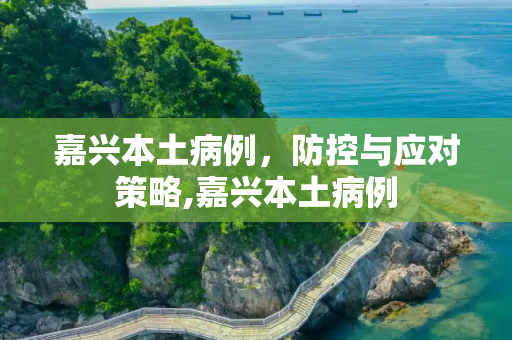 嘉兴本土病例，防控与应对策略,嘉兴本土病例