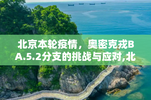 北京本轮疫情，奥密克戎BA.5.2分支的挑战与应对,北京本轮疫情属奥密克戎ba.5.2分支