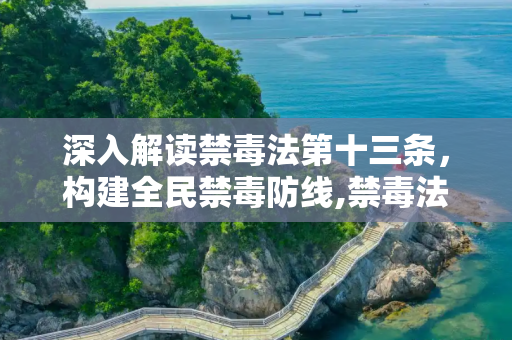 深入解读禁毒法第十三条，构建全民禁毒防线,禁毒法第十三条