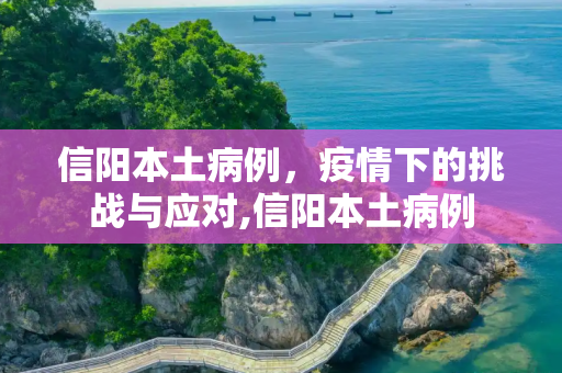 信阳本土病例，疫情下的挑战与应对,信阳本土病例