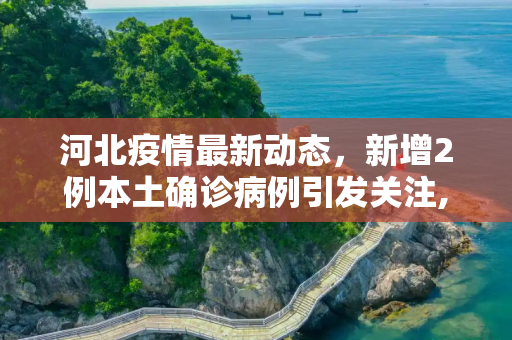 河北疫情最新动态，新增2例本土确诊病例引发关注,河北新增2例本土确诊病例