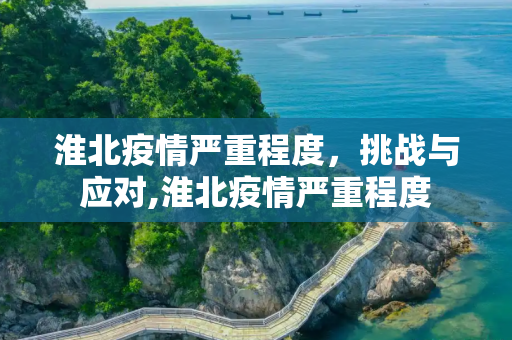 淮北疫情严重程度，挑战与应对,淮北疫情严重程度
