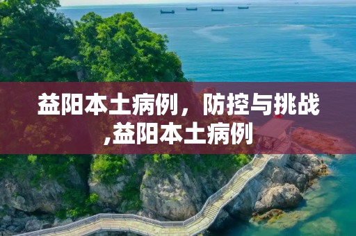 益阳本土病例，防控与挑战,益阳本土病例