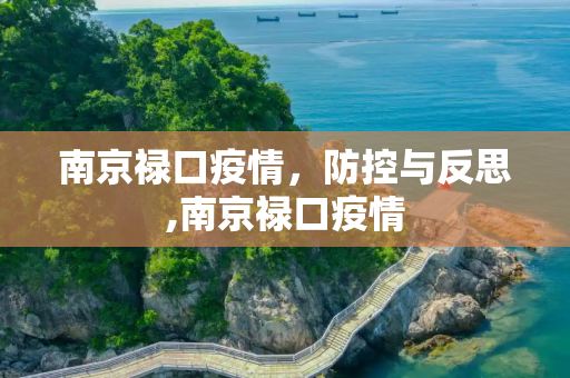 南京禄口疫情，防控与反思,南京禄口疫情