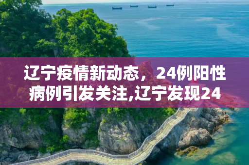 辽宁疫情新动态，24例阳性病例引发关注,辽宁发现24例阳性