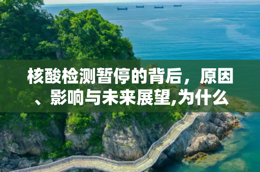 核酸检测暂停的背后，原因、影响与未来展望,为什么突然暂停核酸检测