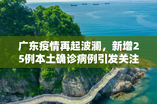 广东疫情再起波澜，新增25例本土确诊病例引发关注,广东新增25例本土确诊病例