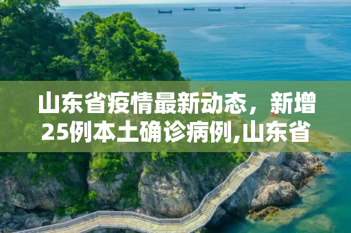 山东省疫情最新动态，新增25例本土确诊病例,山东省新增25例本土确诊