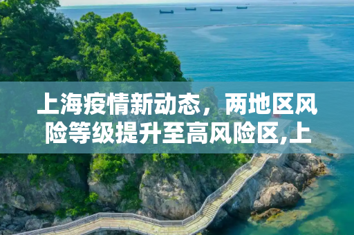 上海疫情新动态，两地区风险等级提升至高风险区,上海2地调整为高风险区
