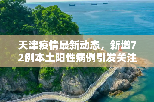 天津疫情最新动态，新增72例本土阳性病例引发关注,天津新增72例本土阳性