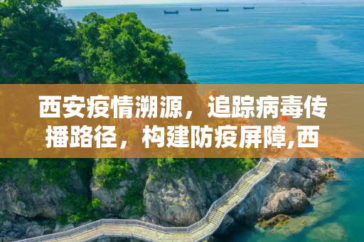 西安疫情溯源，追踪病毒传播路径，构建防疫屏障,西安疫情溯源
