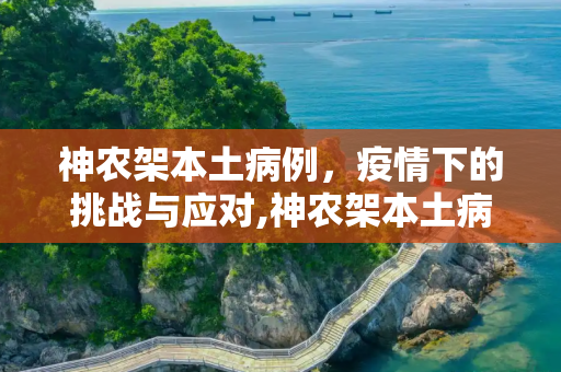神农架本土病例，疫情下的挑战与应对,神农架本土病例