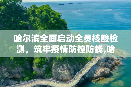 哈尔滨全面启动全员核酸检测，筑牢疫情防控防线,哈尔滨启动全员核检