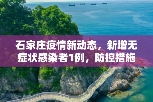 石家庄疫情新动态，新增无症状感染者1例，防控措施持续加强,石家庄新增无症状1例