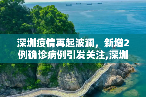深圳疫情再起波澜，新增2例确诊病例引发关注,深圳新增2例确诊