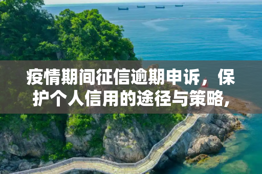 疫情期间征信逾期申诉，保护个人信用的途径与策略,疫情期间征信逾期申诉