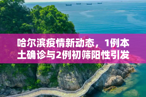 哈尔滨疫情新动态，1例本土确诊与2例初筛阳性引发关注,哈尔滨发现1例本土确诊2例初筛阳性