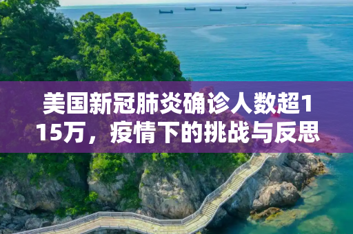 美国新冠肺炎确诊人数超115万，疫情下的挑战与反思,美国新冠肺炎确诊人数超115万