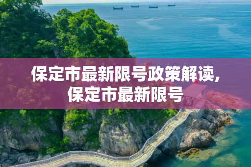 保定市最新限号政策解读,保定市最新限号