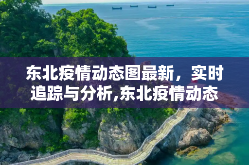 东北疫情动态图最新，实时追踪与分析,东北疫情动态图最新