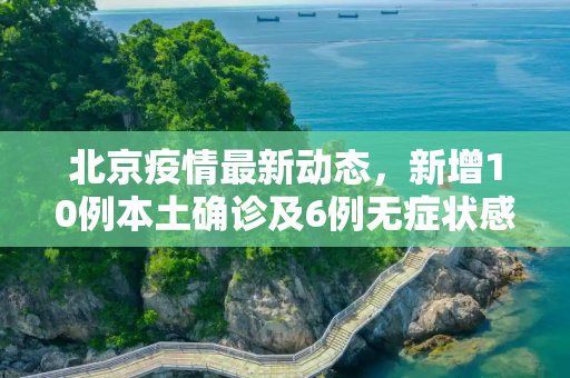 北京疫情最新动态，新增10例本土确诊及6例无症状感染者,北京新增10例本土确诊6例无症状