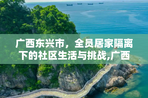 广西东兴市，全员居家隔离下的社区生活与挑战,广西东兴市全员居家隔离