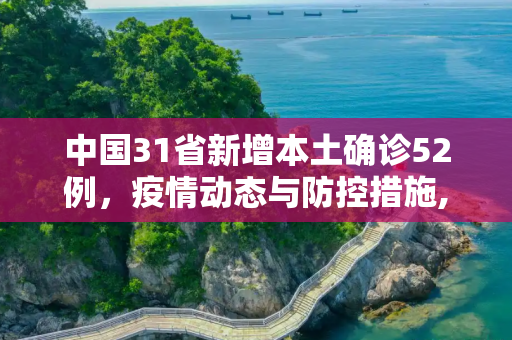 中国31省新增本土确诊52例，疫情动态与防控措施,31省新增本土确诊52例