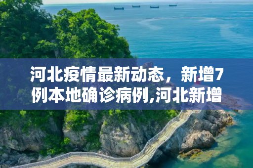 河北疫情最新动态，新增7例本地确诊病例,河北新增7例本地确诊病例