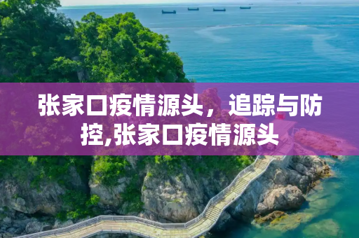 张家口疫情源头，追踪与防控,张家口疫情源头