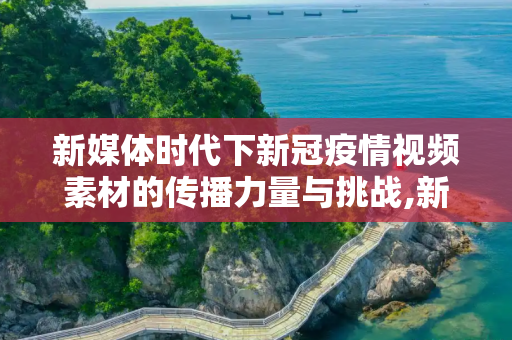 新媒体时代下新冠疫情视频素材的传播力量与挑战,新冠疫情视频素材