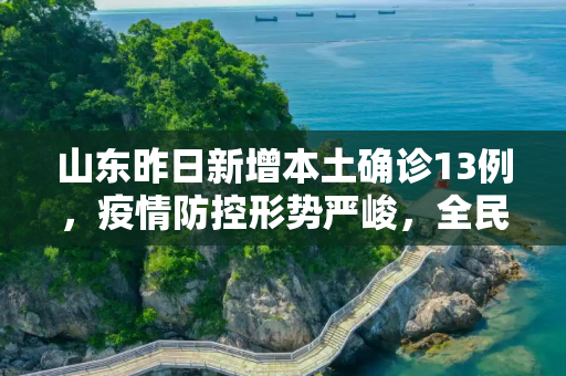山东昨日新增本土确诊13例，疫情防控形势严峻，全民行动共筑防线,山东昨日新增本土确诊13例