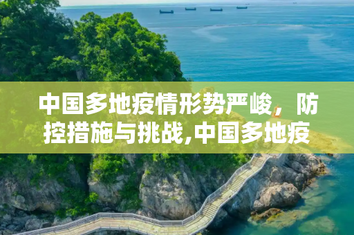 中国多地疫情形势严峻，防控措施与挑战,中国多地疫情形势严峻