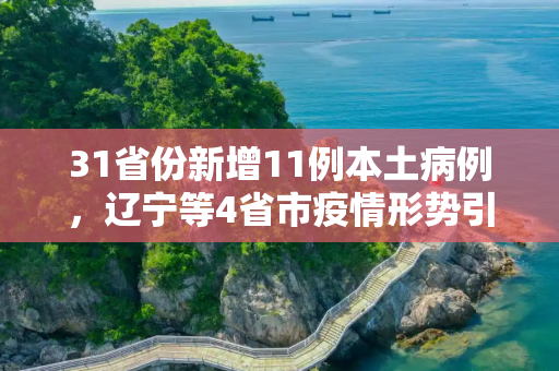 31省份新增11例本土病例，辽宁等4省市疫情形势引关注,31省份新增11例本土涉辽宁等4省市