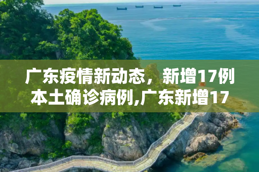 广东疫情新动态，新增17例本土确诊病例,广东新增17例本土确诊
