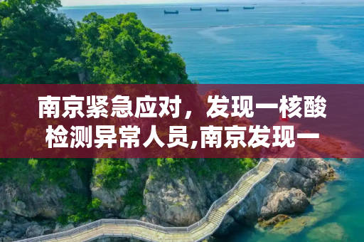 南京紧急应对，发现一核酸检测异常人员,南京发现一核酸异常人员