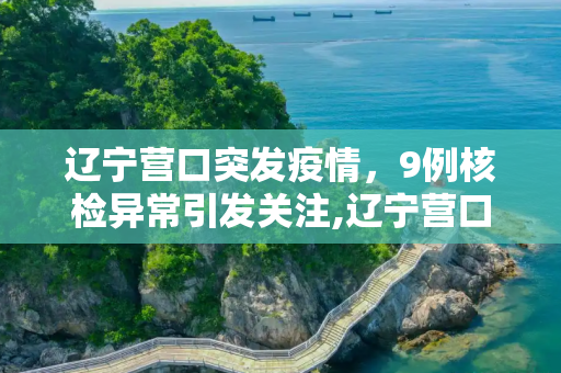 辽宁营口突发疫情，9例核检异常引发关注,辽宁营口发现9例核检异常
