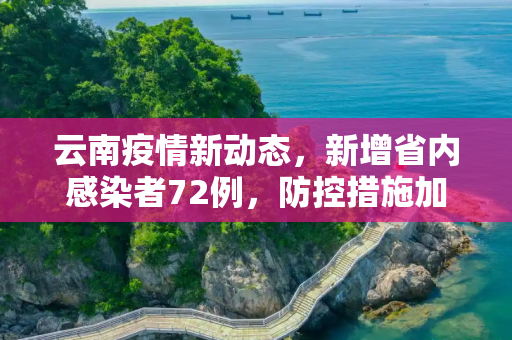 云南疫情新动态，新增省内感染者72例，防控措施加强,云南新增省内感染者72例