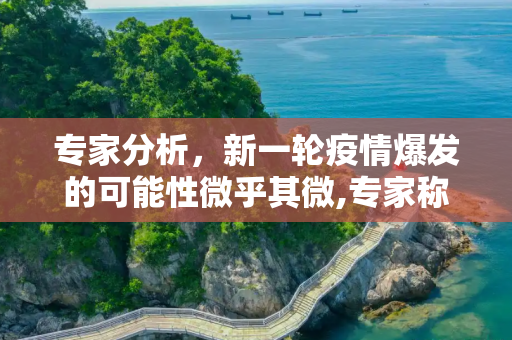 专家分析，新一轮疫情爆发的可能性微乎其微,专家称出现新一轮疫情概率小