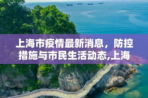 上海市疫情最新消息，防控措施与市民生活动态,上海市疫情最新消息