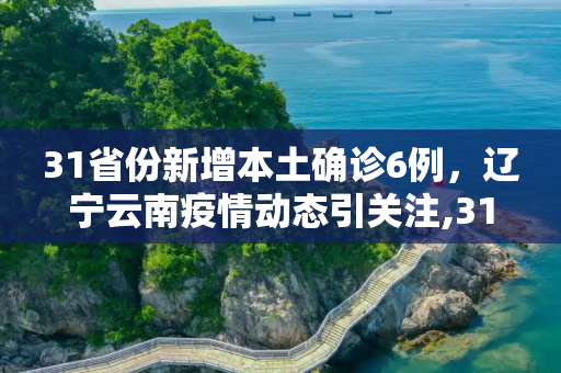 31省份新增本土确诊6例，辽宁云南疫情动态引关注,31省份新增本土确诊6例在辽宁云南