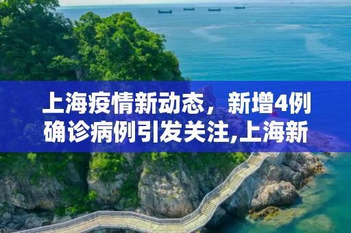上海疫情新动态，新增4例确诊病例引发关注,上海新增4例确诊