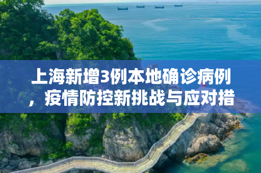 上海新增3例本地确诊病例，疫情防控新挑战与应对措施,上海新增3例本地确诊病例