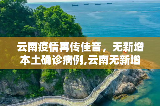 云南疫情再传佳音，无新增本土确诊病例,云南无新增本土确诊病例