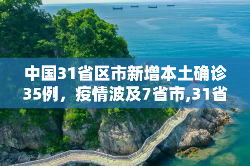 中国31省区市新增本土确诊35例，疫情波及7省市,31省区市新增本土确诊35例 涉7省市