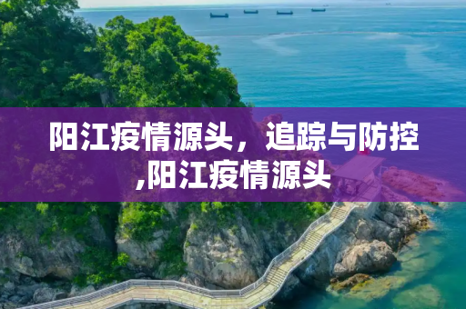 阳江疫情源头，追踪与防控,阳江疫情源头