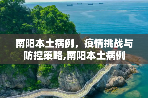 南阳本土病例，疫情挑战与防控策略,南阳本土病例