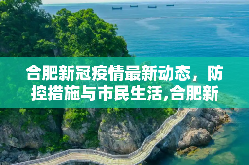 合肥新冠疫情最新动态，防控措施与市民生活,合肥新冠疫情最新消息