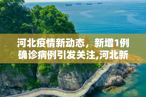 河北疫情新动态，新增1例确诊病例引发关注,河北新增1确诊病例