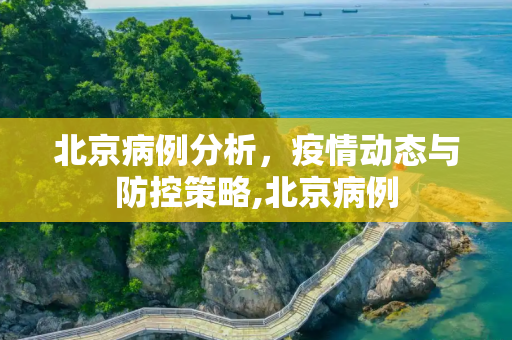 北京病例分析，疫情动态与防控策略,北京病例