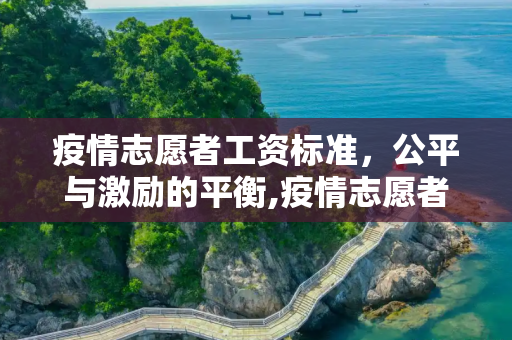 疫情志愿者工资标准，公平与激励的平衡,疫情志愿者工资标准